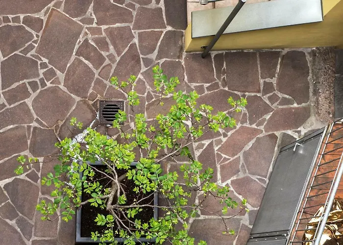 Daxburg Διαμέρισμα